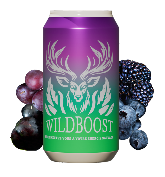 WildBoost